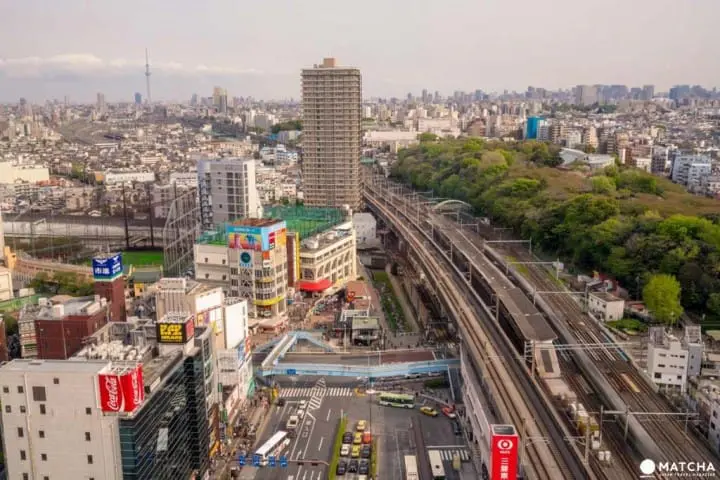 無料展望台まとめ