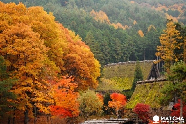 “飞騨高山”旅游指南。景点23选、气候、交通方式等等情报一网打尽~