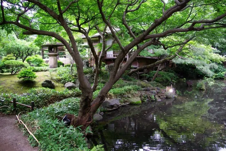 【東京都】四季折々楽しめる小石川後楽園～アクセス、おすすめスポット、イベントなど