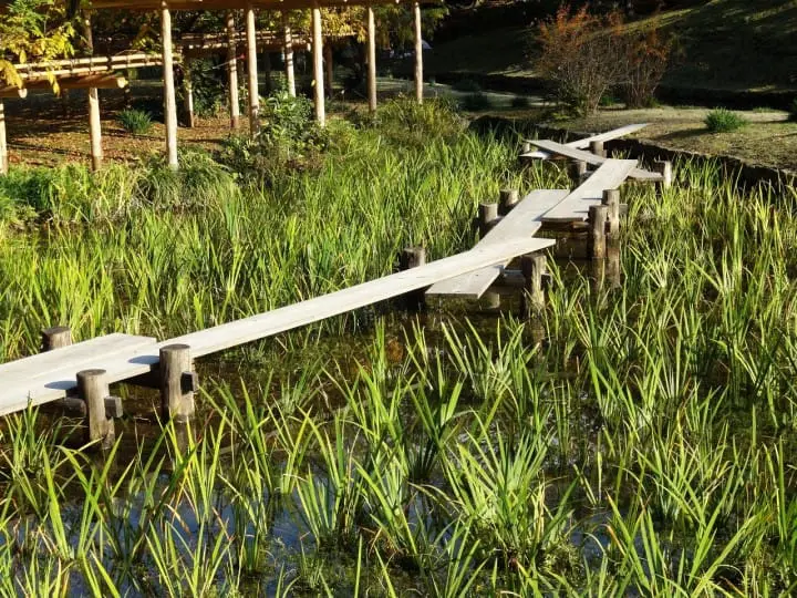 【東京都】四季折々楽しめる小石川後楽園～アクセス、おすすめスポット、イベントなど