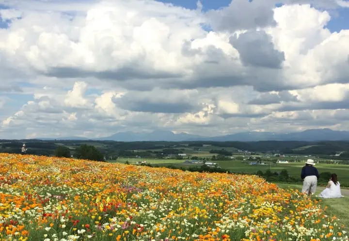 フラワーランドかみふらの