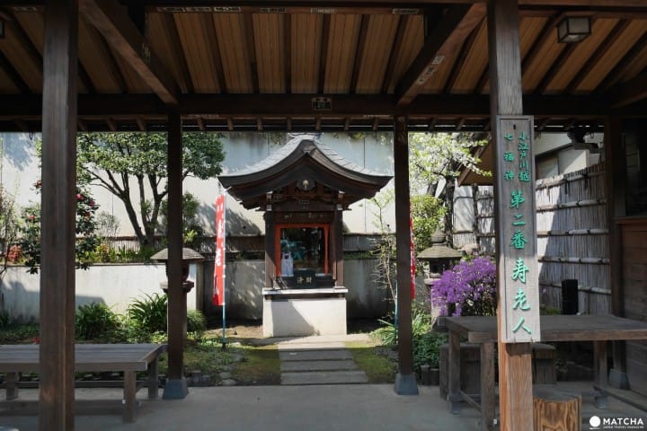 川越壽老人
