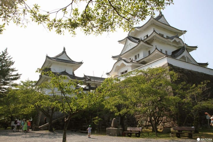 kyoto ninja village