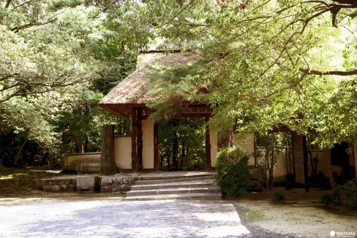 Iga – where your Ninja dream comes true (part 2)