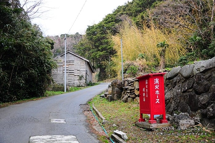 旅饭-田代岛