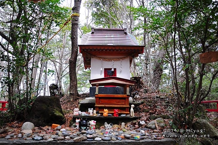 饭店-神社