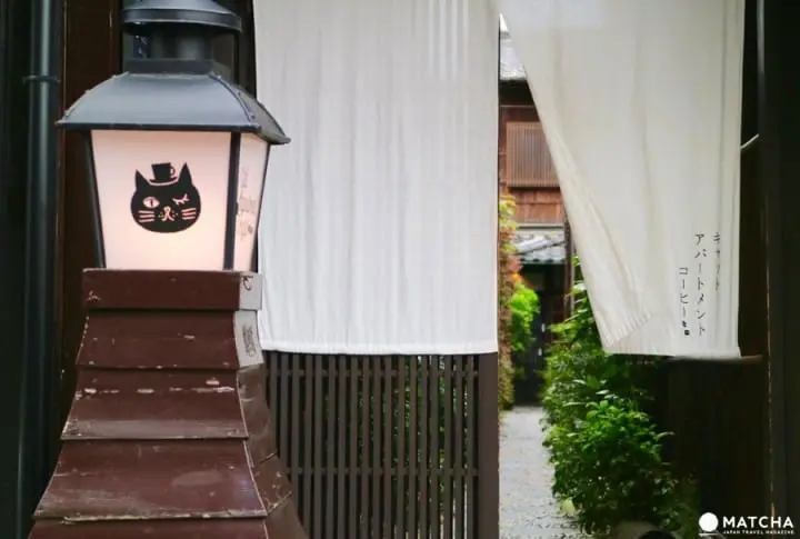 築100年を超える京町家でゆったりと暮らす猫たち＠キャットアパートメントコーヒー