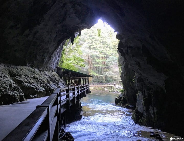 Akiyoshidai Plateau - A Breathtaking Karst Landscape In Yamaguchi 