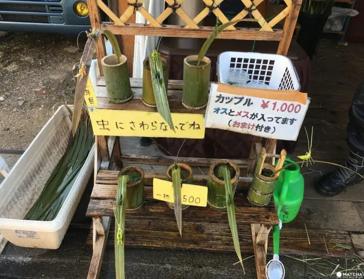 Mine handmade grasshoppers