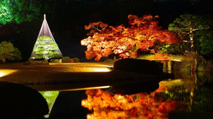 東京を代表する日本庭園「六義園」〜アクセス・見どころ・イベントなど〜