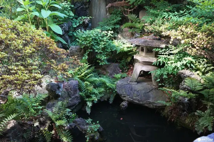 【西新井】80年間の歴史を誇る「松の湯」で初めての銭湯体験！その感想は？！