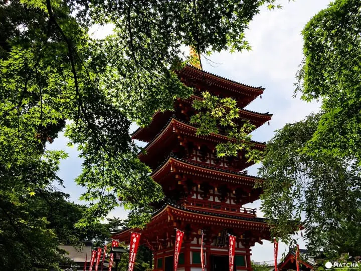 「東京近郊」外國遊客不知道，在地人都愛去的繡球花秘境-高幡不動尊