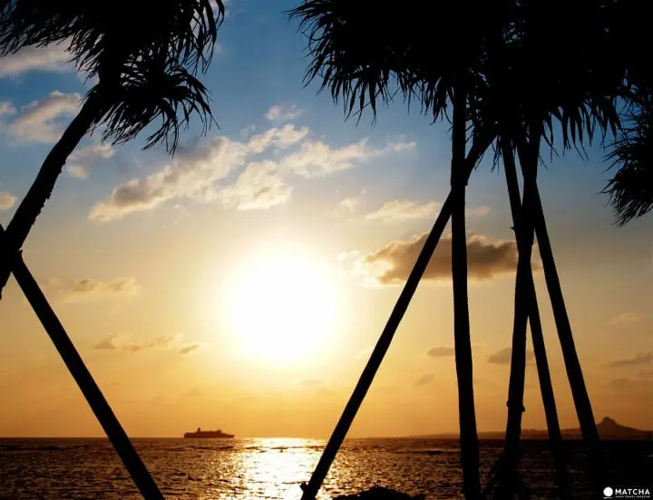 Journey to Okinawa’s north, Yanbaru