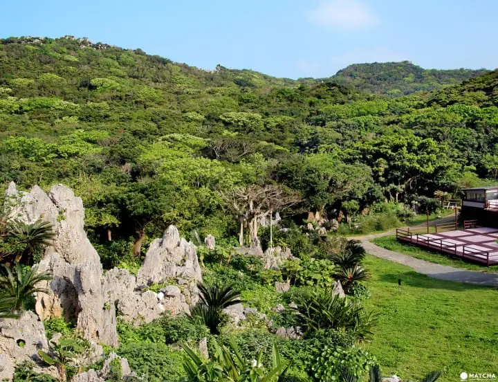 Journey to Okinawa’s north, Yanbaru
