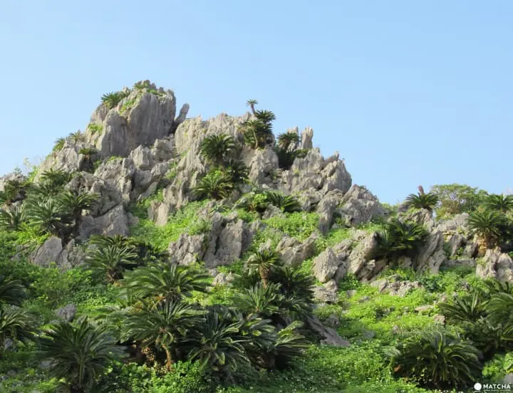 Journey to Okinawa’s north, Yanbaru