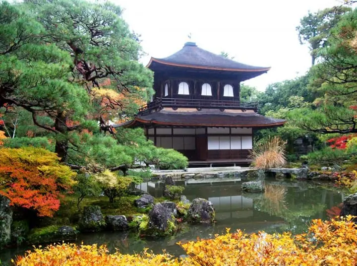 【京都府】桜と紅葉の名所、哲学の道〜アクセス・桜と紅葉の見頃など〜