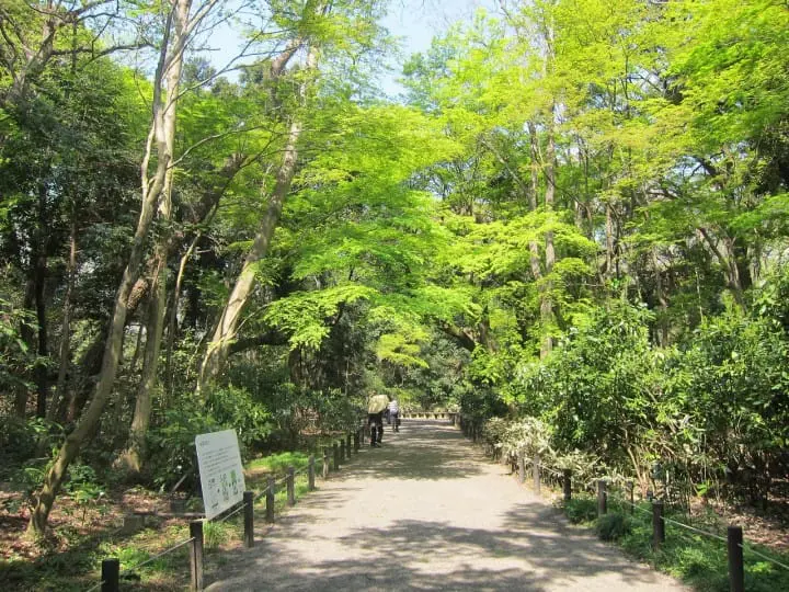 【東京都】自然に癒される国立科学博物館附属自然教育園～アクセス、おすすめスポット、イベントなど