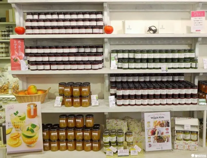 輕井澤觀光攻略。交通、氣候、服裝,觀光景點10選以及其他訊息匯總