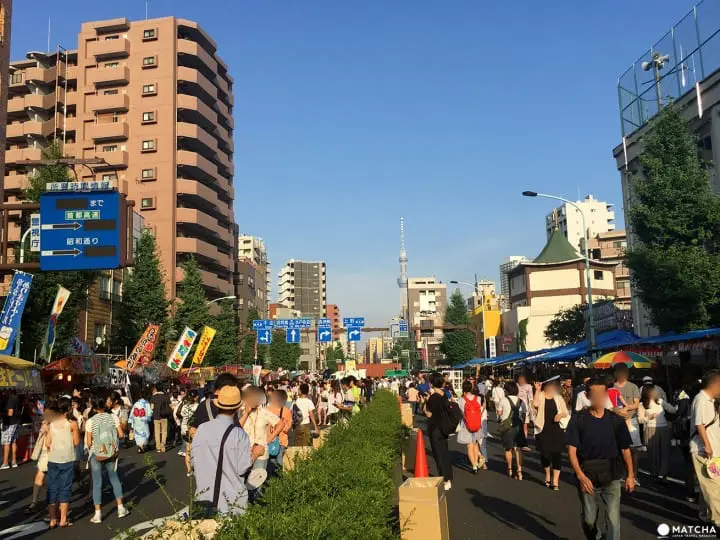 夏日風物詩「入谷牽牛花、淺草酸漿」，化身江戶文人來賞花逛市集吧