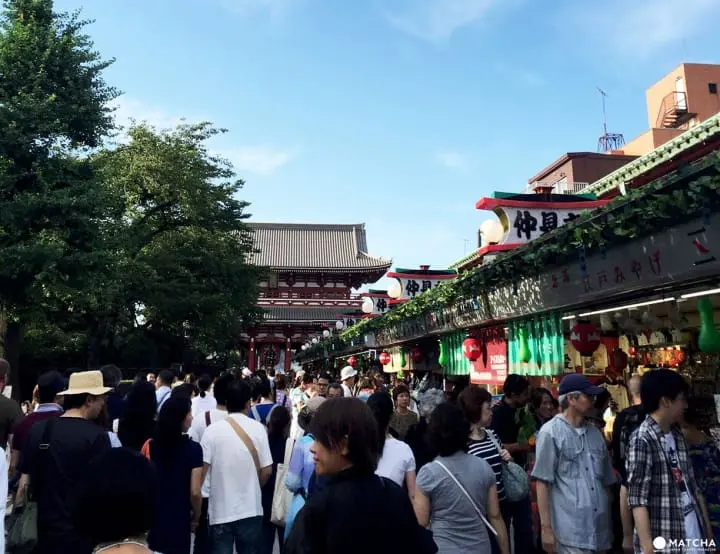 夏日风物诗“入谷牵牛花、浅草酸浆”，化身江户文人来赏花逛市集吧
