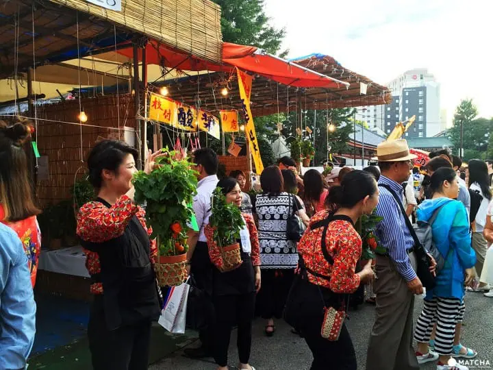 夏日风物诗“入谷牵牛花、浅草酸浆”，化身江户文人来赏花逛市集吧