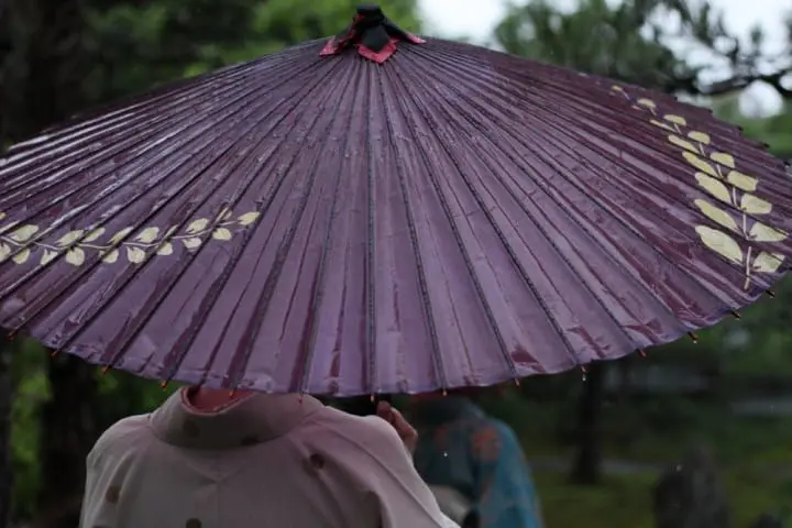 3 Fun Ways To Enjoy The Rainy Season In Japan