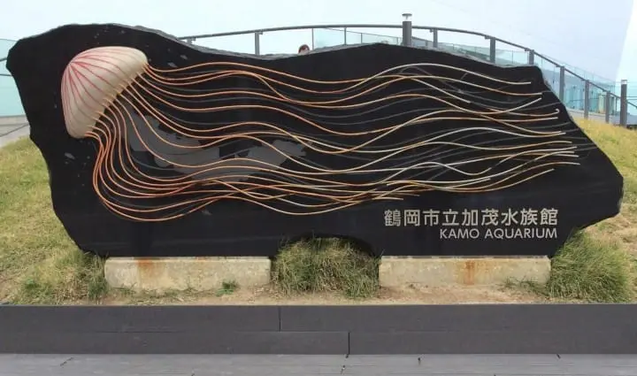 Cool Off This Summer At Aquariums All Across Japan