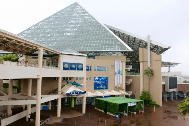 Cool Off This Summer At Aquariums All Across Japan