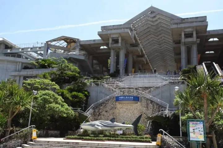 Cool Off This Summer At Aquariums All Across Japan