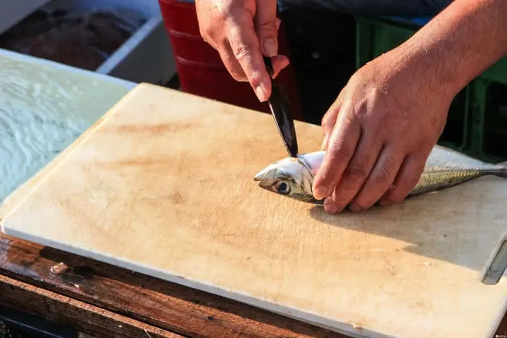 漁市場見學 鹿兒島市中央卸売賣市場