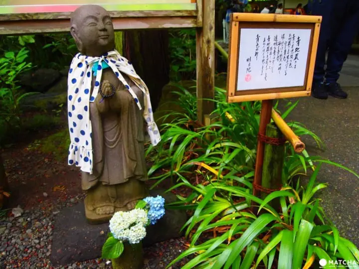 雨季的紫阳花 让你爱上镰仓这座城市 Matcha 日本旅游网络杂志