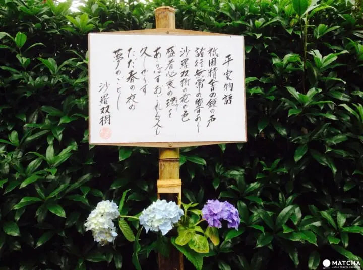 【梅雨】雨季的紫陽花，讓你愛上鐮倉這座城市～