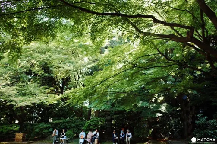 舊古河庭園-和式庭園