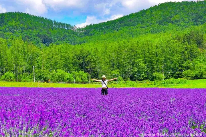 北海道南富良野