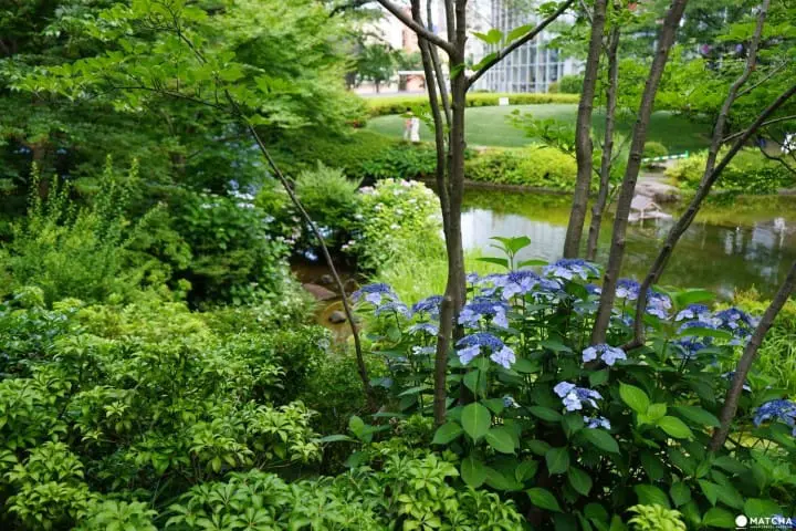 The Mohri Garden: Taking a Break from the City in the City