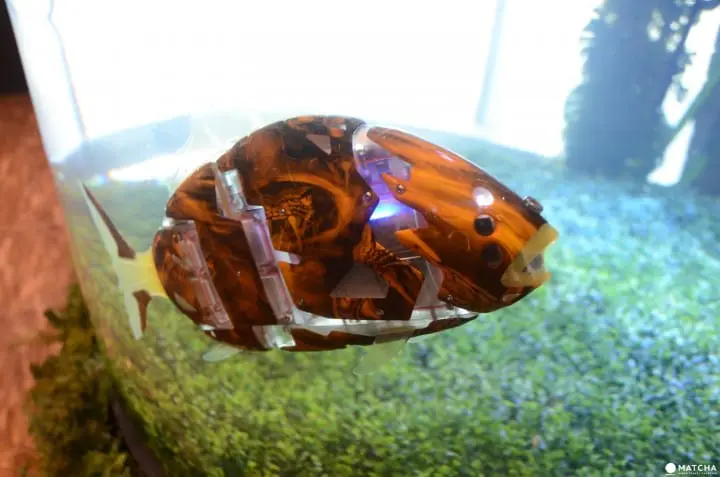 恐竜がお出迎え！ロボットだらけの『変なホテル』