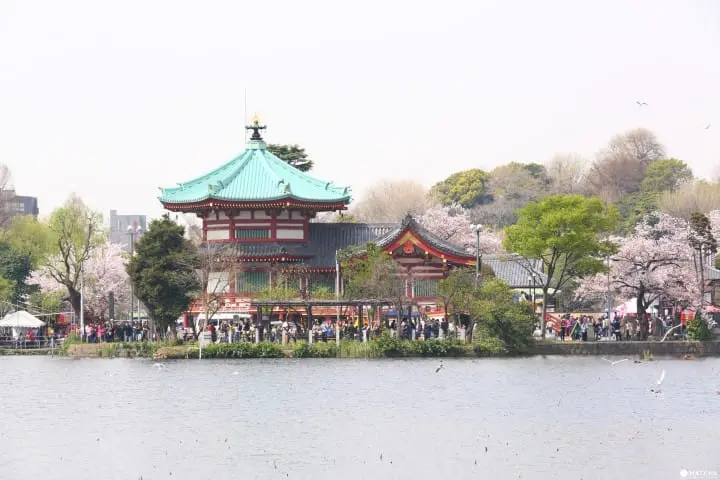 Get Off The Beaten Path: 15 Unique Things To Do In Ueno