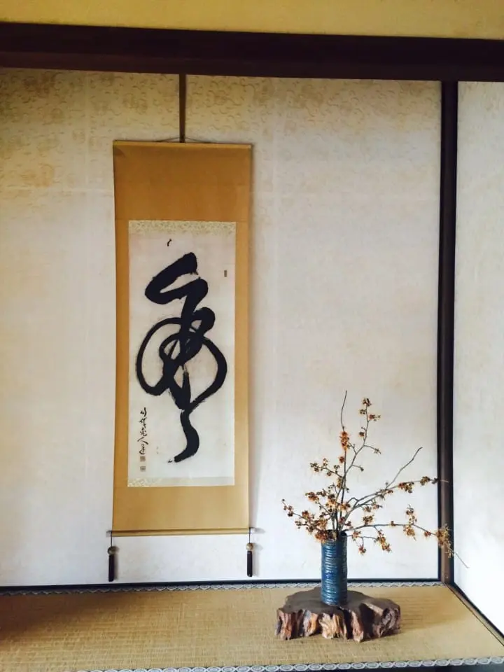 Japanese Accommodations - What's That Thing?