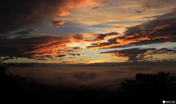 Star-watching on Mount Dodaira, Saitama