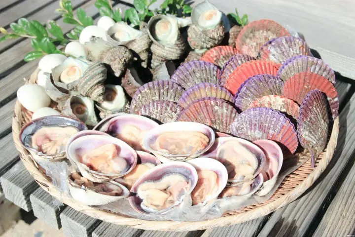 【三重】伊勢鳥羽體驗海女生活 海女小屋品嚐海鮮