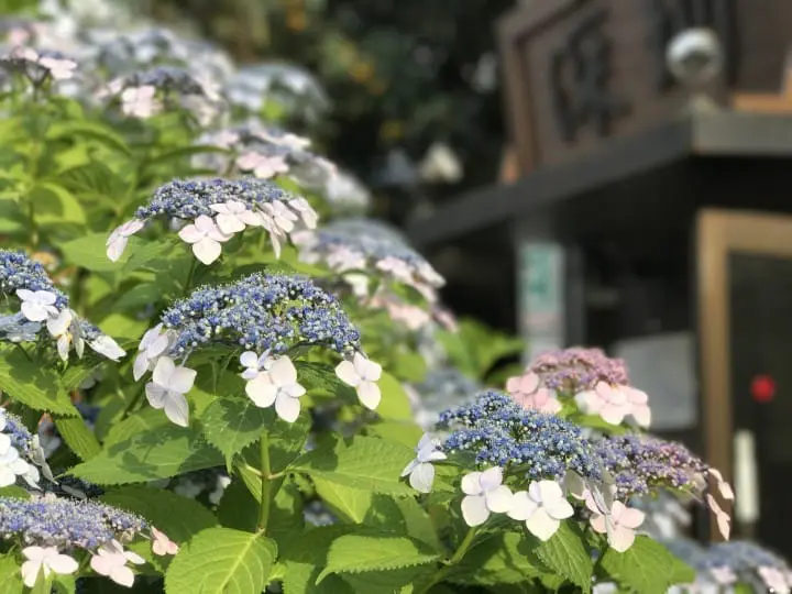 【東京】JR山手線 日暮里東口、西口半日散策