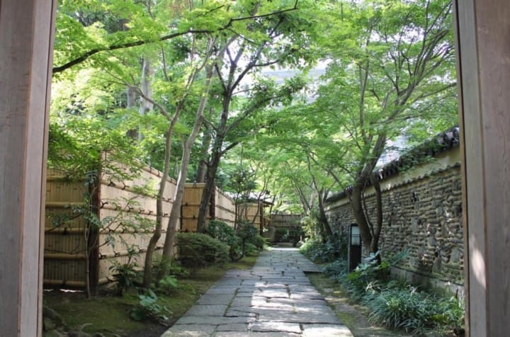 Fukuoka Travel Guide: - Visit One Of Japan's Most Vibrant Cities!