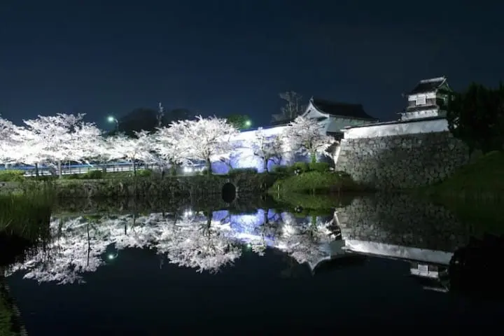 Fukuoka Travel Guide: - Visit One Of Japan's Most Vibrant Cities!