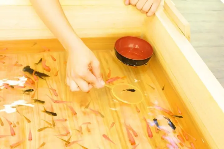Experience Japanese Summer With The 5 Senses