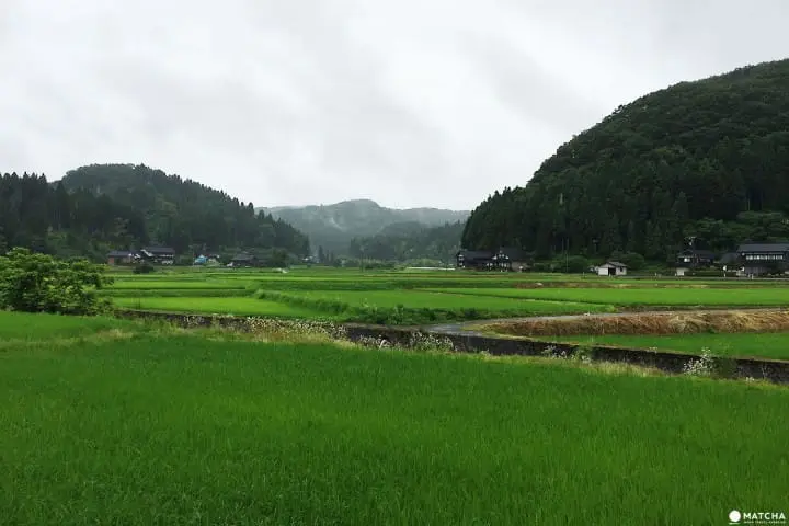 Matsunami Sake Brewery