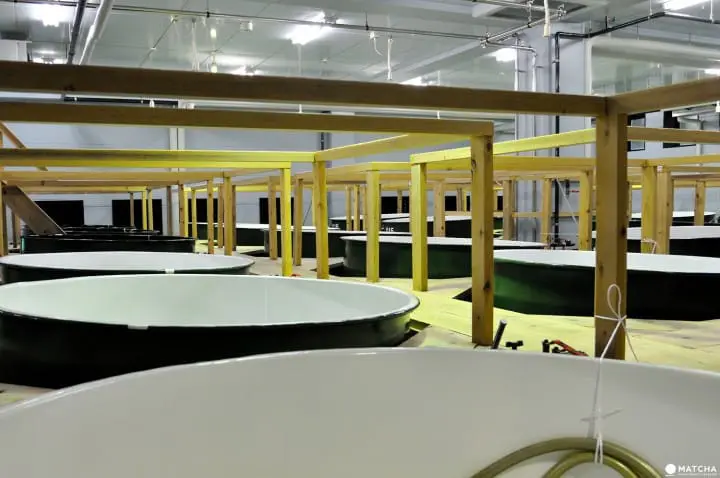 Sogen Sake Brewery, Noto Peninsula