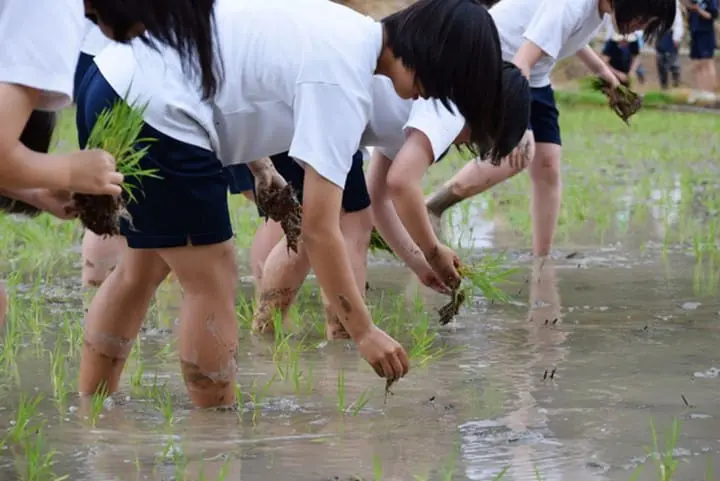 Sogen Sake Brewery, Noto Peninsula