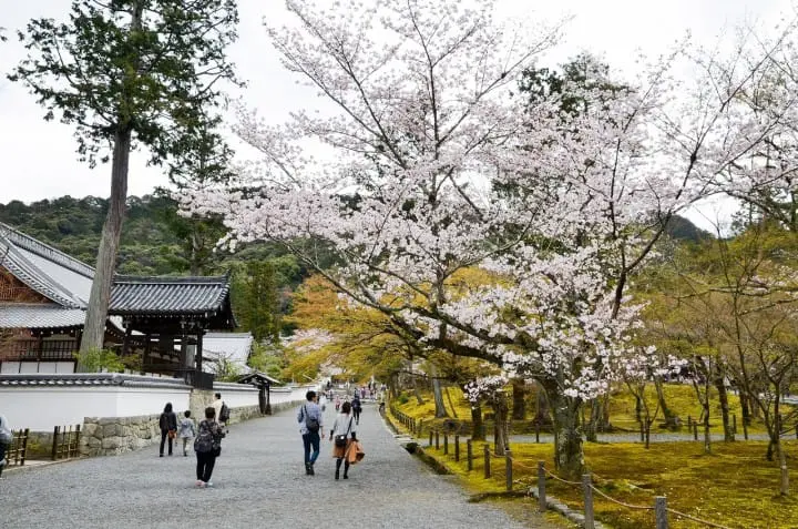 【京都】京都で最高位の格式をもつ禪寺、南禪寺～アクセス、オススメスポット、イベントなど