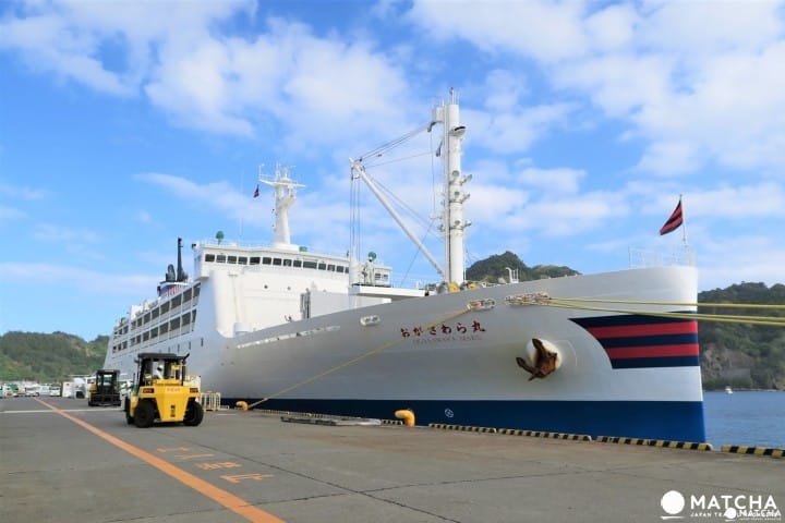 東京離島24小時坐船之旅,前往「小笠原諸島・父島」