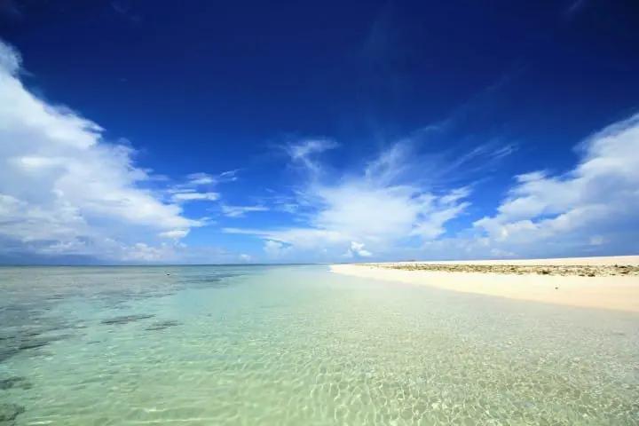 Okinawa Area Guide: Travel, Sightseeing, Festivals and More!